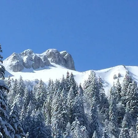 Haute-savoie 木屋 Thollon-les-Memises